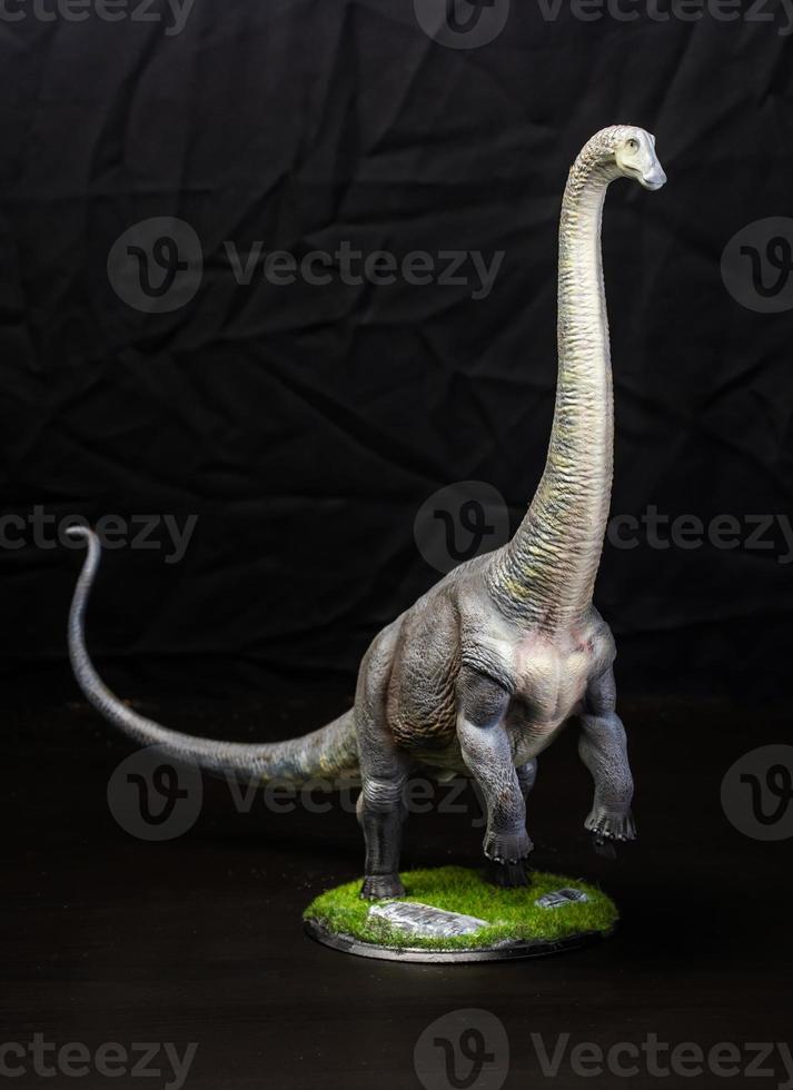 The Brontosaurus dinosaur  in the dark photo
