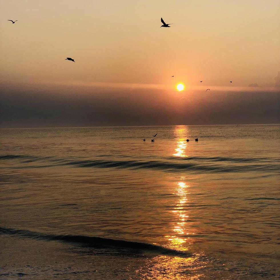 Morning in the sea photo