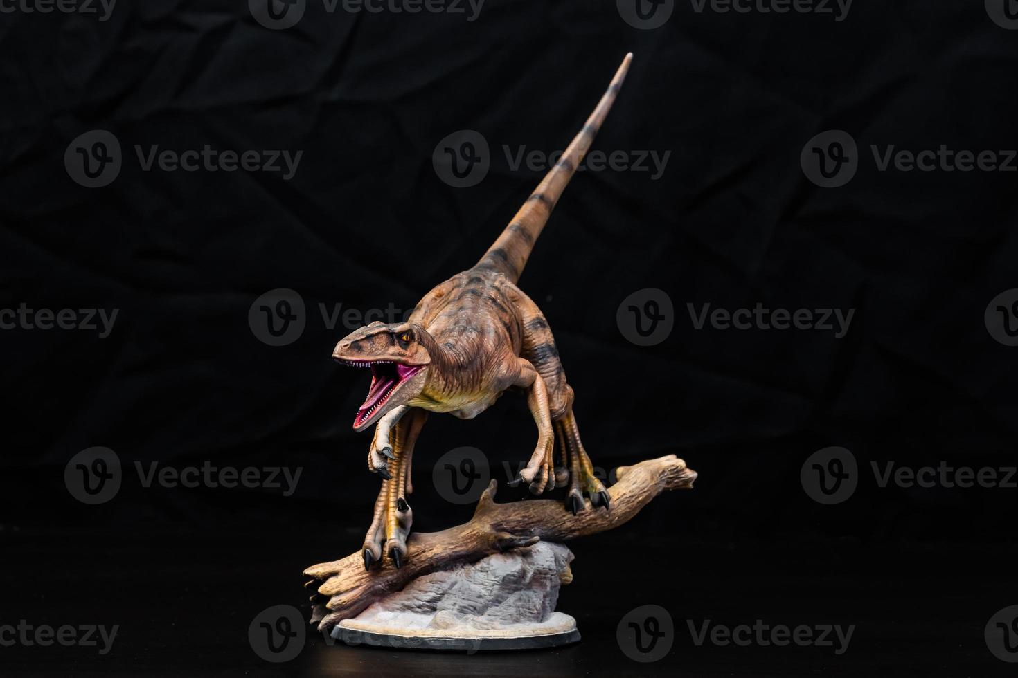 The Velociraptor  dinosaur  in the dark photo