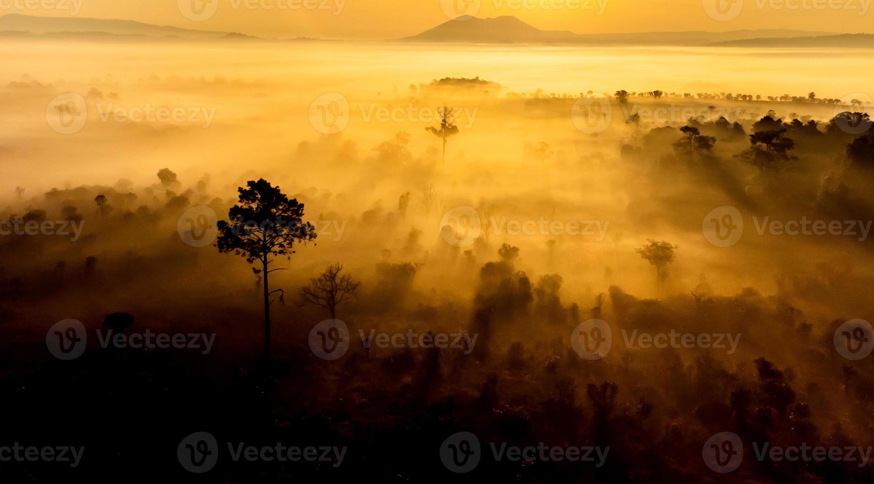 Aerial view of landscape forest Sunrise sunset time photo