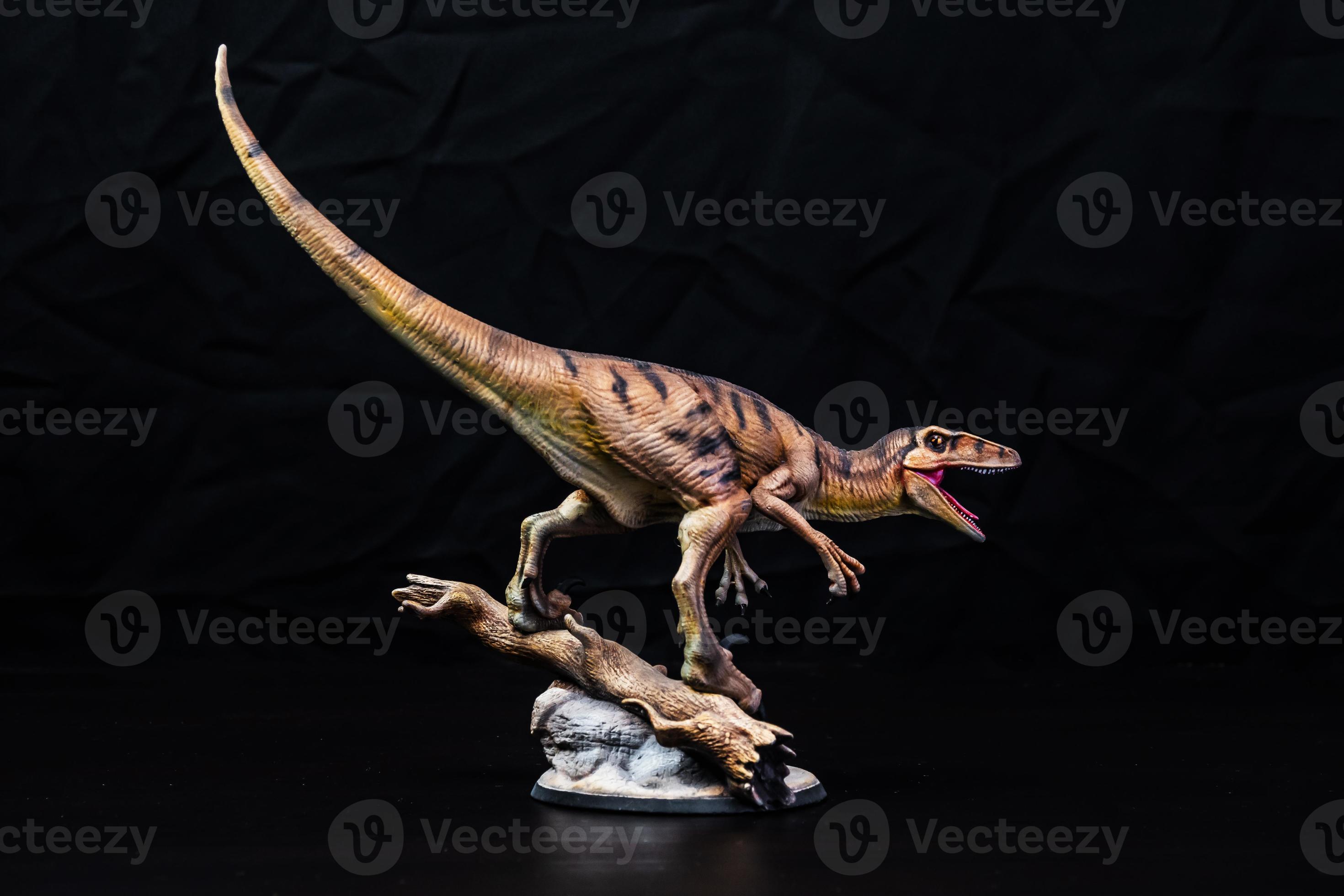 The Velociraptor dinosaur in the dark 21866376 Stock Photo at Vecteezy