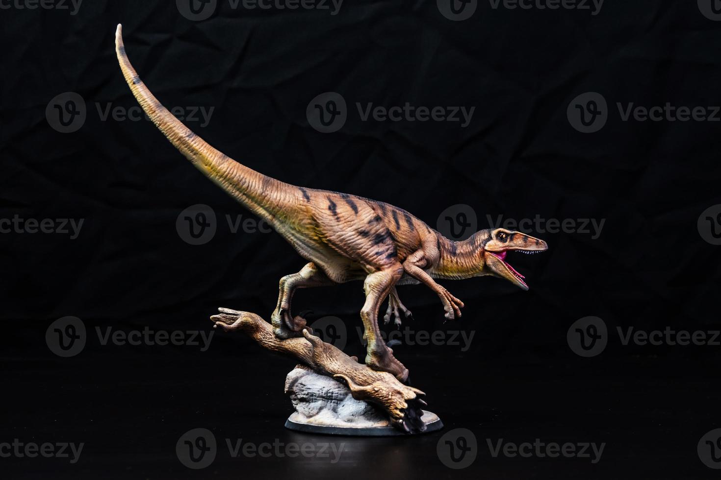 The Velociraptor  dinosaur  in the dark photo