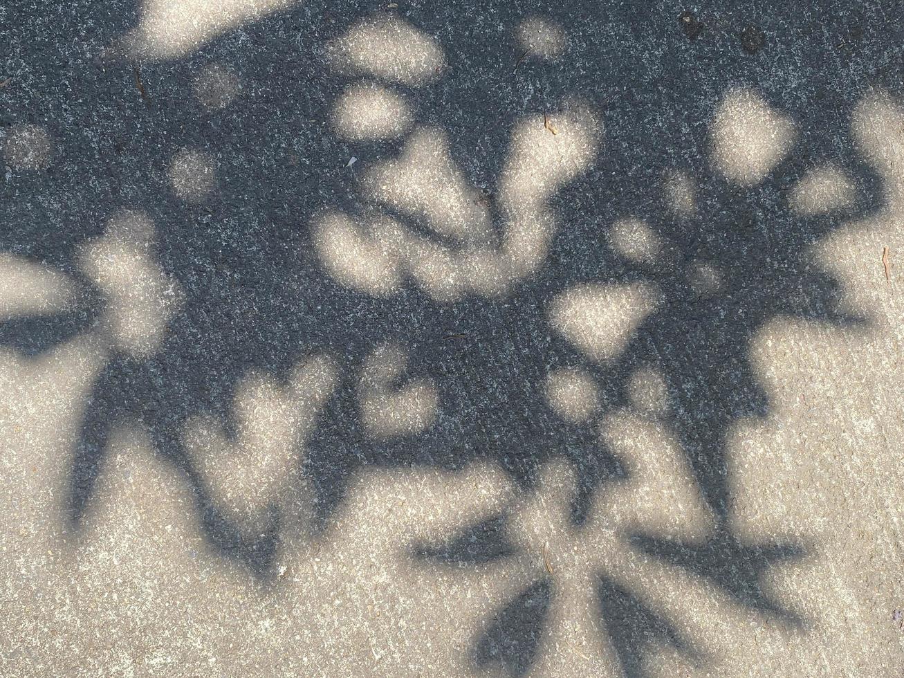 Leaves shadow background on concrete wall texture, leaves tree branches shade with sunlight photo