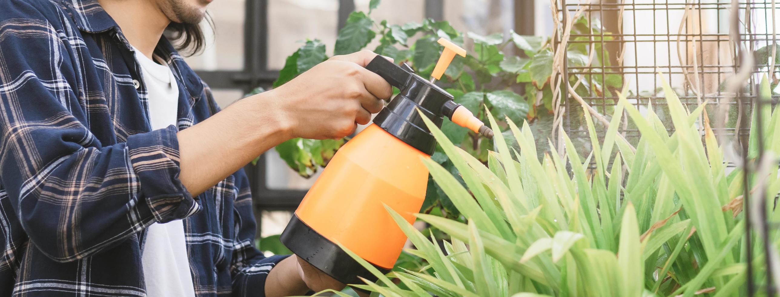 Hand of asian young gardener man, male holding water sprayer pouring water plants with a spray in free time activities, sunshine in morning at home, apartment balcony. Lifestyle, hobby people concept. photo