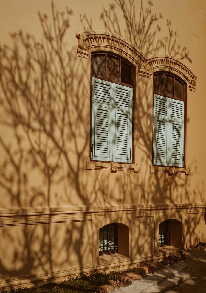 Vintage window with shutters on yellow wall, minimal concep with branch silhouette on the wall. Creative copyspace. photo