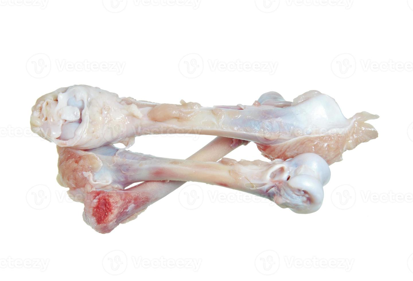 Chicken bone isolated on white background without shadow.. photo