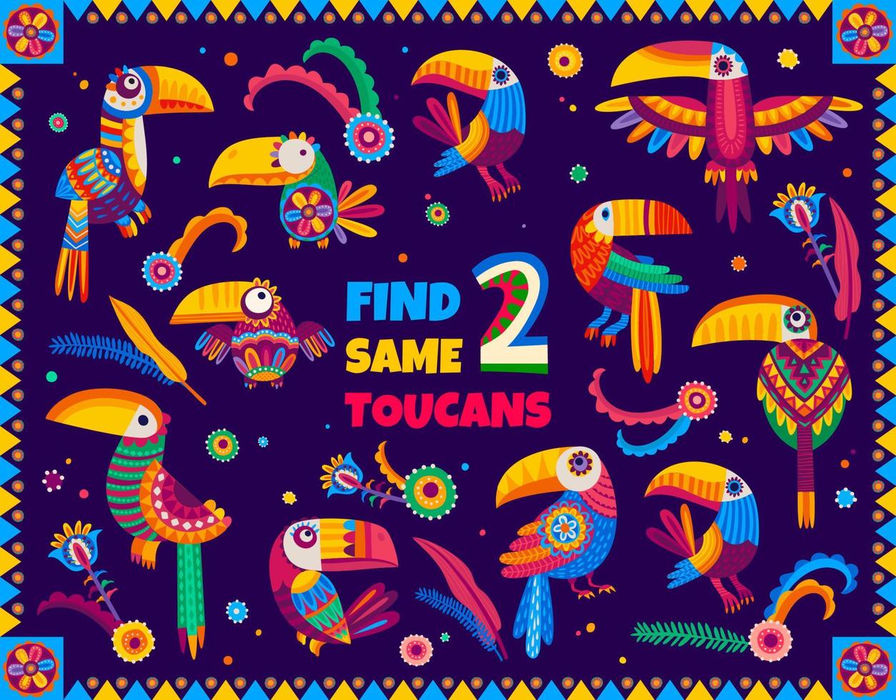 Find two same Mexican toucan birds, kids game vector