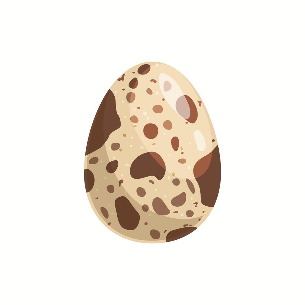 Cartoon quail egg, isolated poultry farm product vector