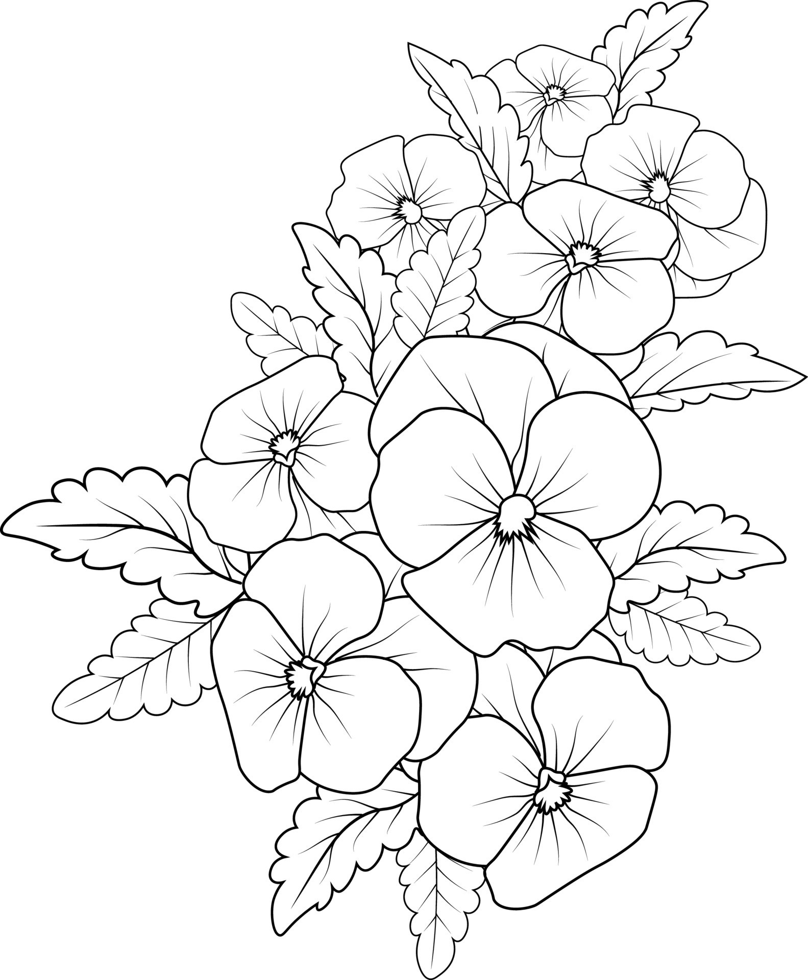 Blackandwhite bouquet of violets with leaves Vector Image