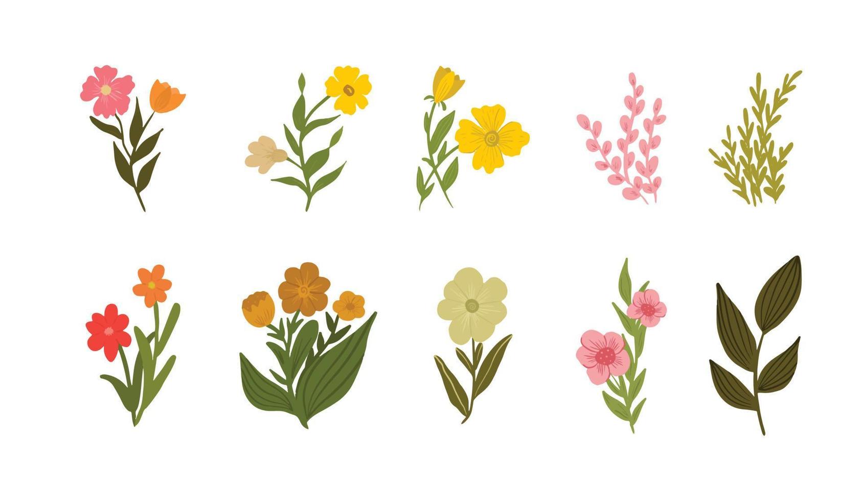 Hand drawn spring flower collection Vector Illustration