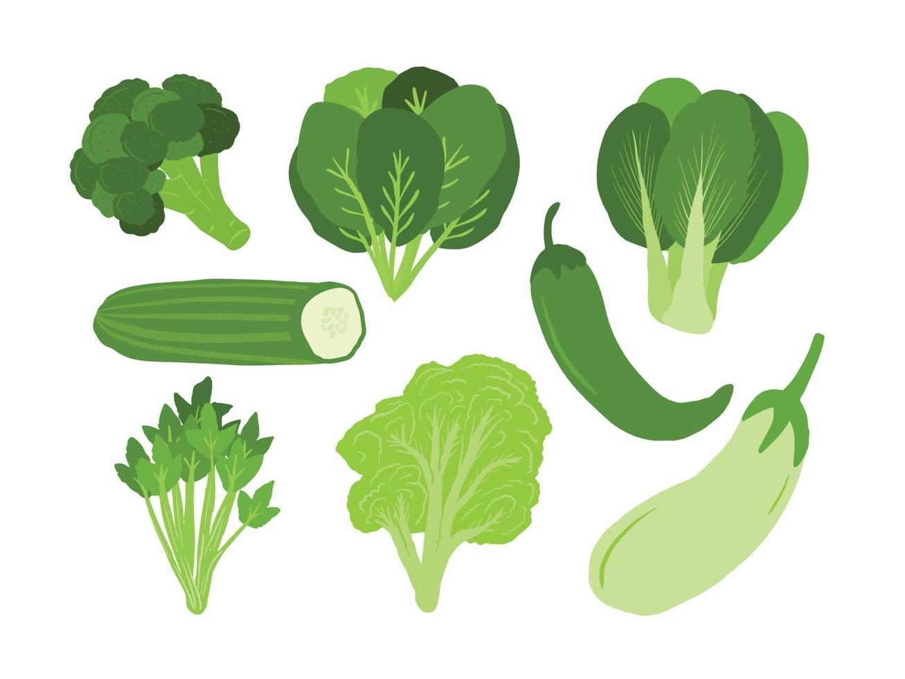 set of vegetables isolated on white vector