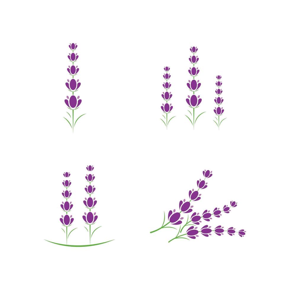 Fresco lavanda flor logo plano diseño modelo vector