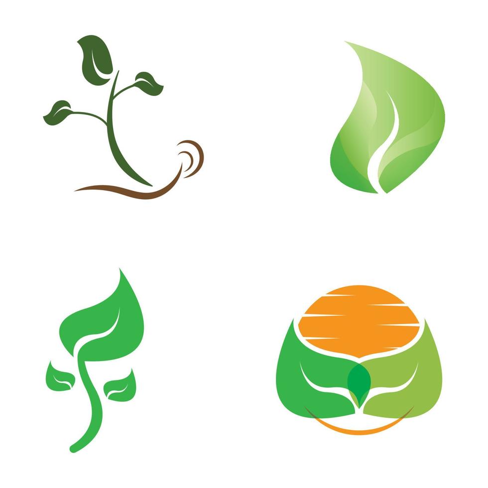 natural verde hoja logo icono modelo vector