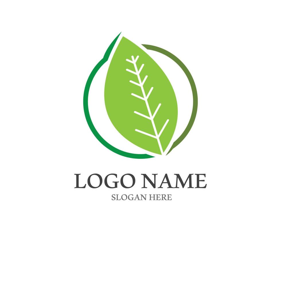 natural verde hoja logo. con un ilustración logo diseño en un moderno estilo. un logo para salud y cuidado. vector