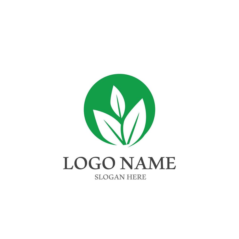 logotipos de vector de elemento de naturaleza de ecología de hoja de árbol verde