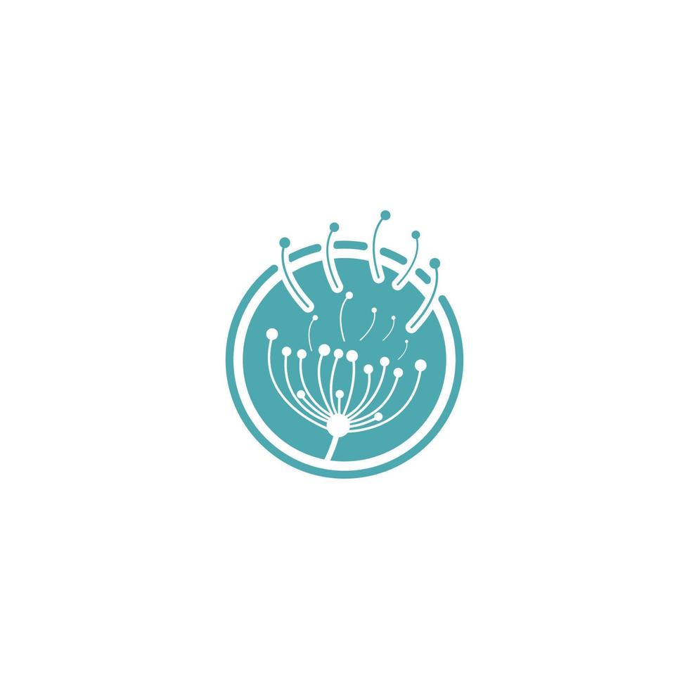 dandelion flower logo with template vector illustration