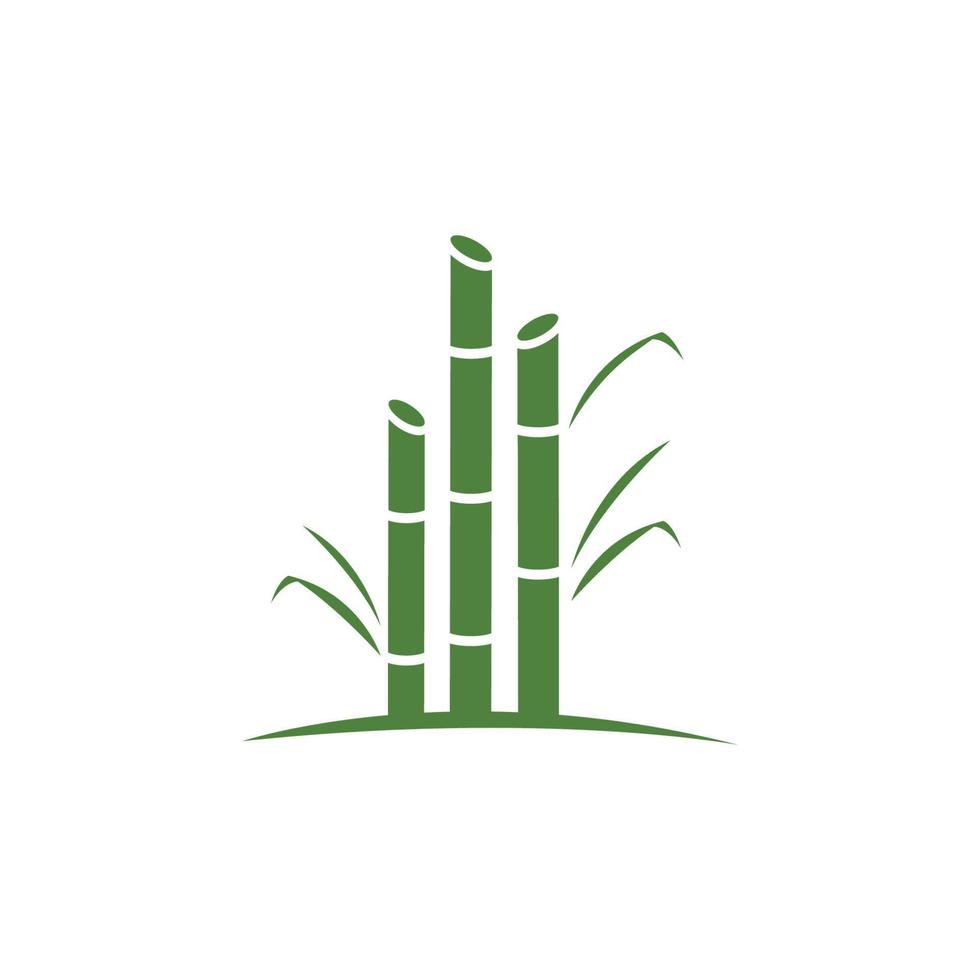 Natural Sweet Sugar Cane Plant Logo Template. vector