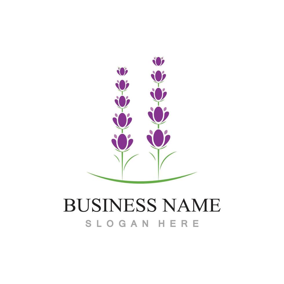 fresh lavender flower logo flat design template vector