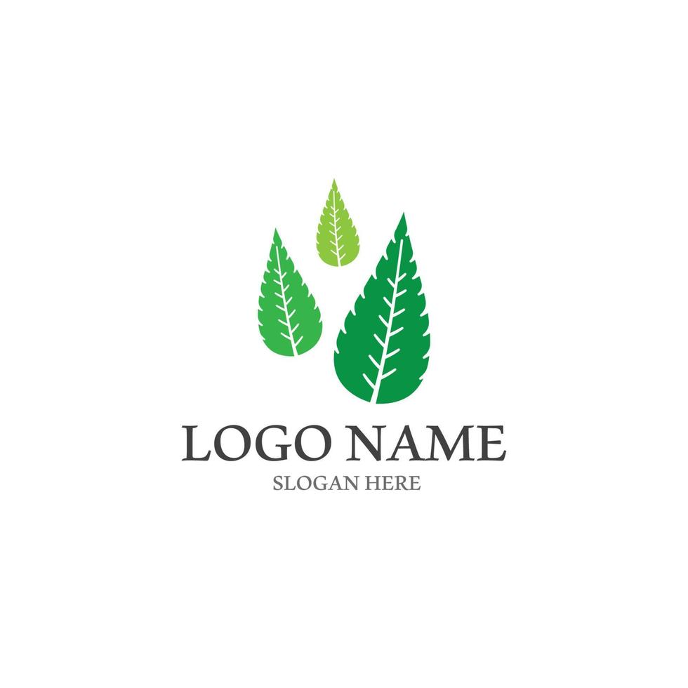 logotipos de la ecología de la hoja del árbol verde vector