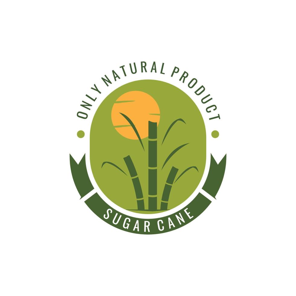 natural dulce azúcar caña planta logo modelo. vector