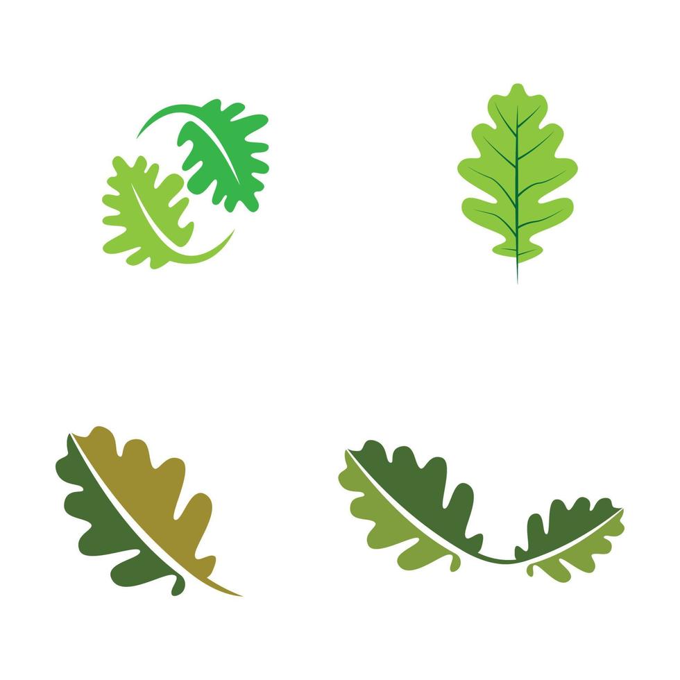 vector oak leaf logo template