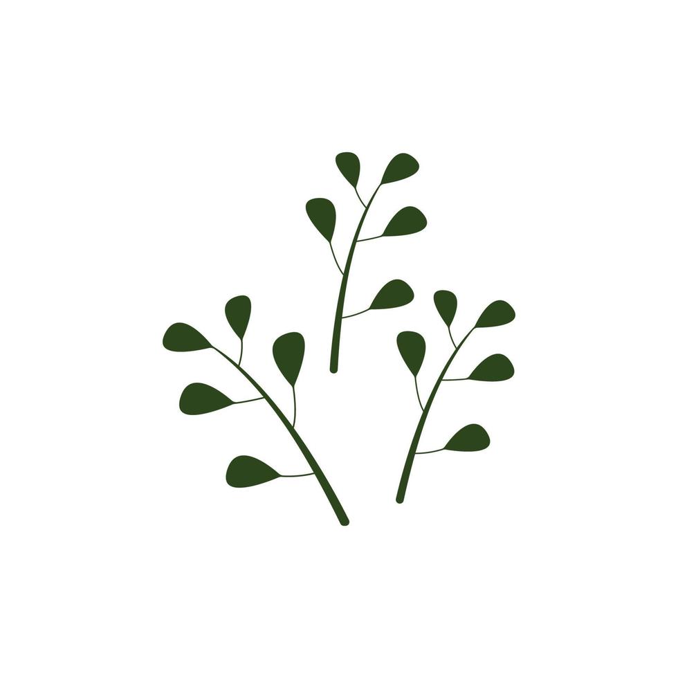 verde natural moringa hoja logo modelo aislado en blanco antecedentes. vector