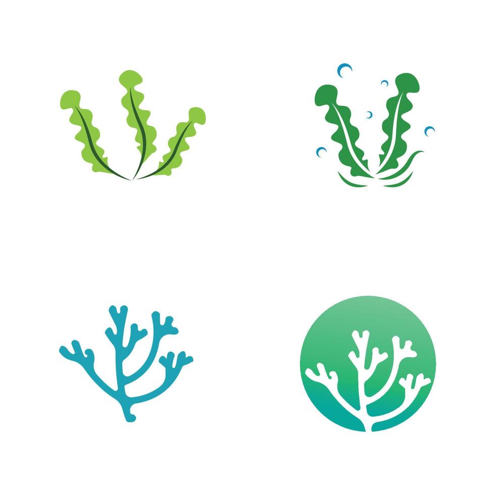 seaweed logo design with vector illustration template