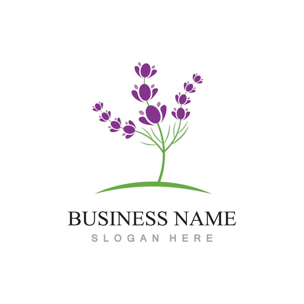 fresh lavender flower logo flat design template vector