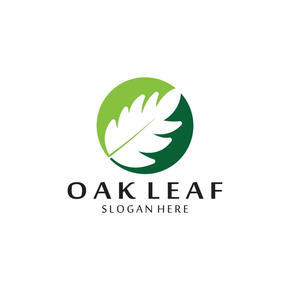 vector oak leaf logo design