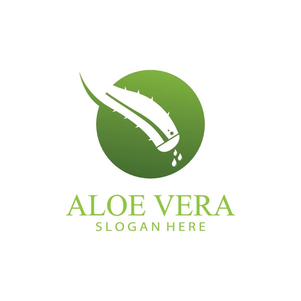 áloe vera logo diseño vector ilustración modelo