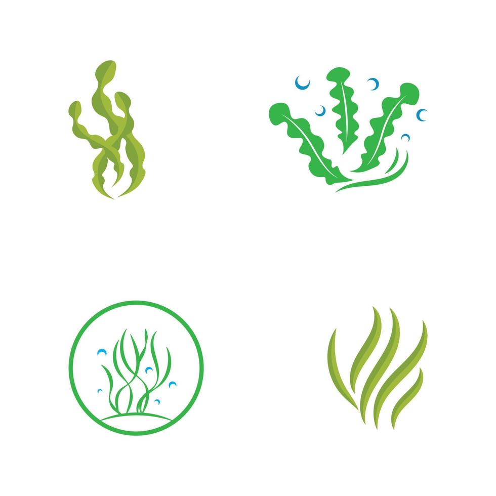 algas marinas logo diseño con vector ilustración modelo