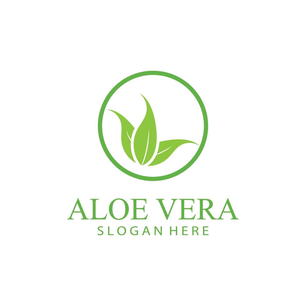 áloe vera logo diseño vector ilustración modelo