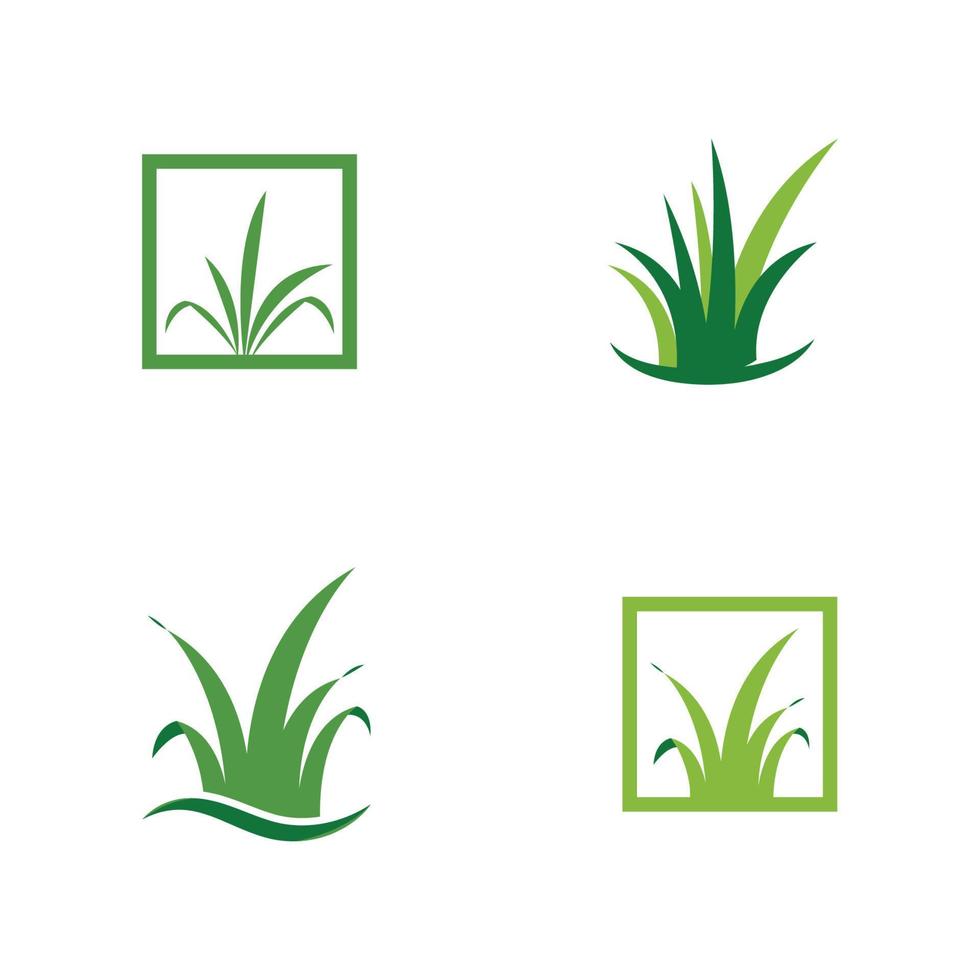 natural grass logo design template vector