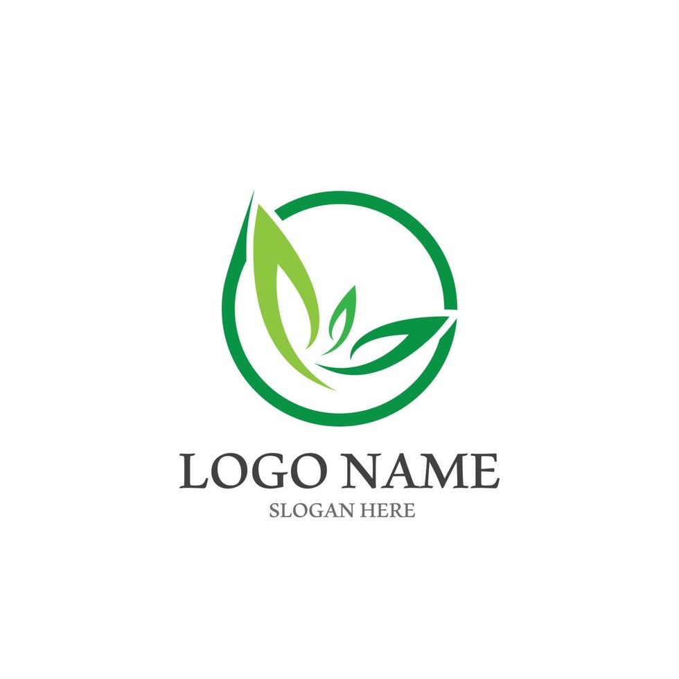 logotipos de la ecología de la hoja del árbol verde vector