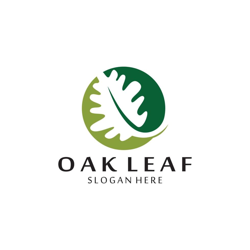 vector oak leaf logo design