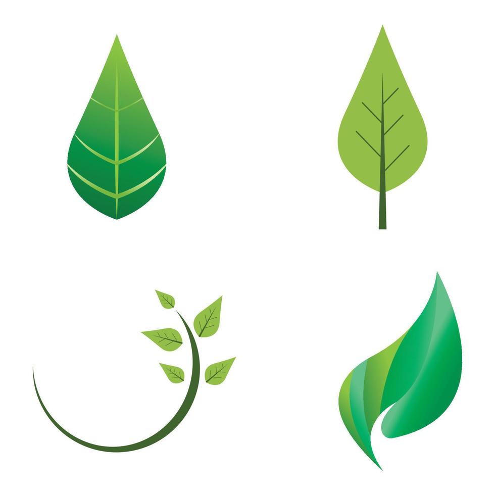 natural verde hoja logo icono modelo vector