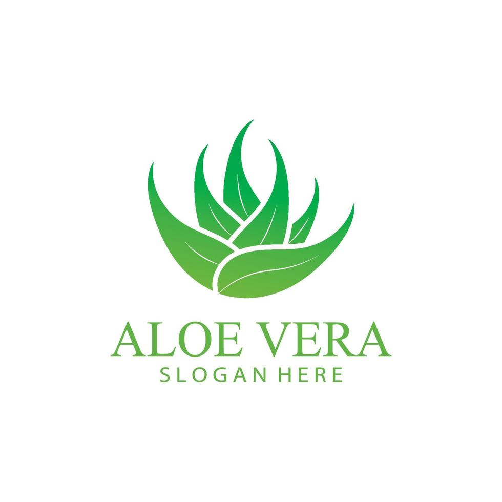 áloe vera logo diseño vector ilustración modelo