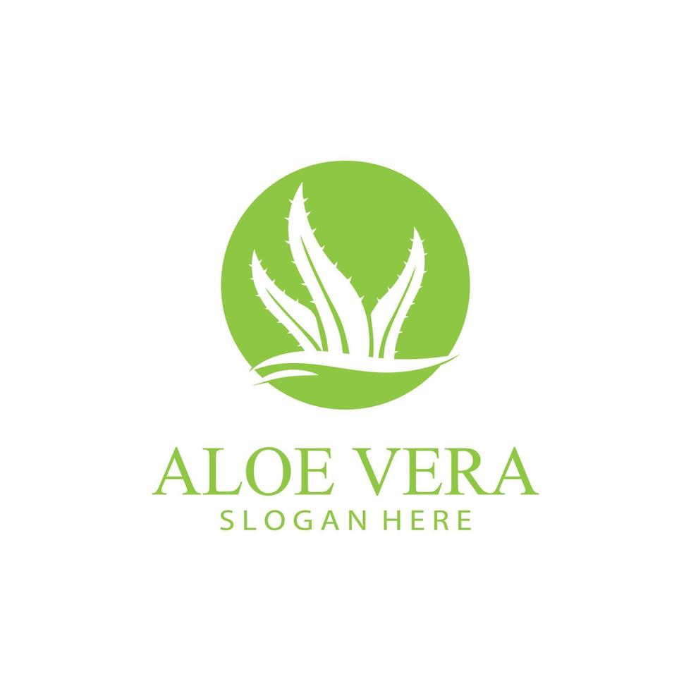 aloe vera logo design vector illustration template