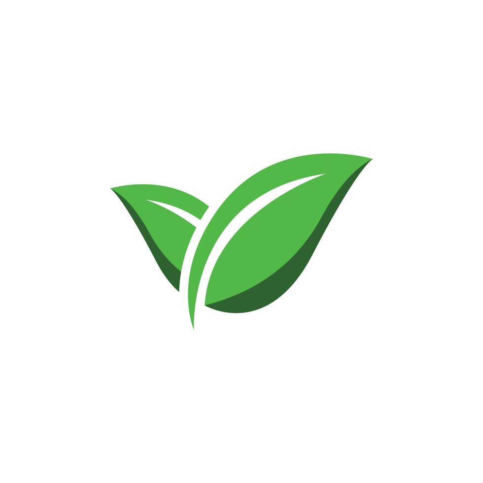 natural verde hoja logo. con un ilustración logo diseño en un moderno estilo. un logo para salud y cuidado. vector