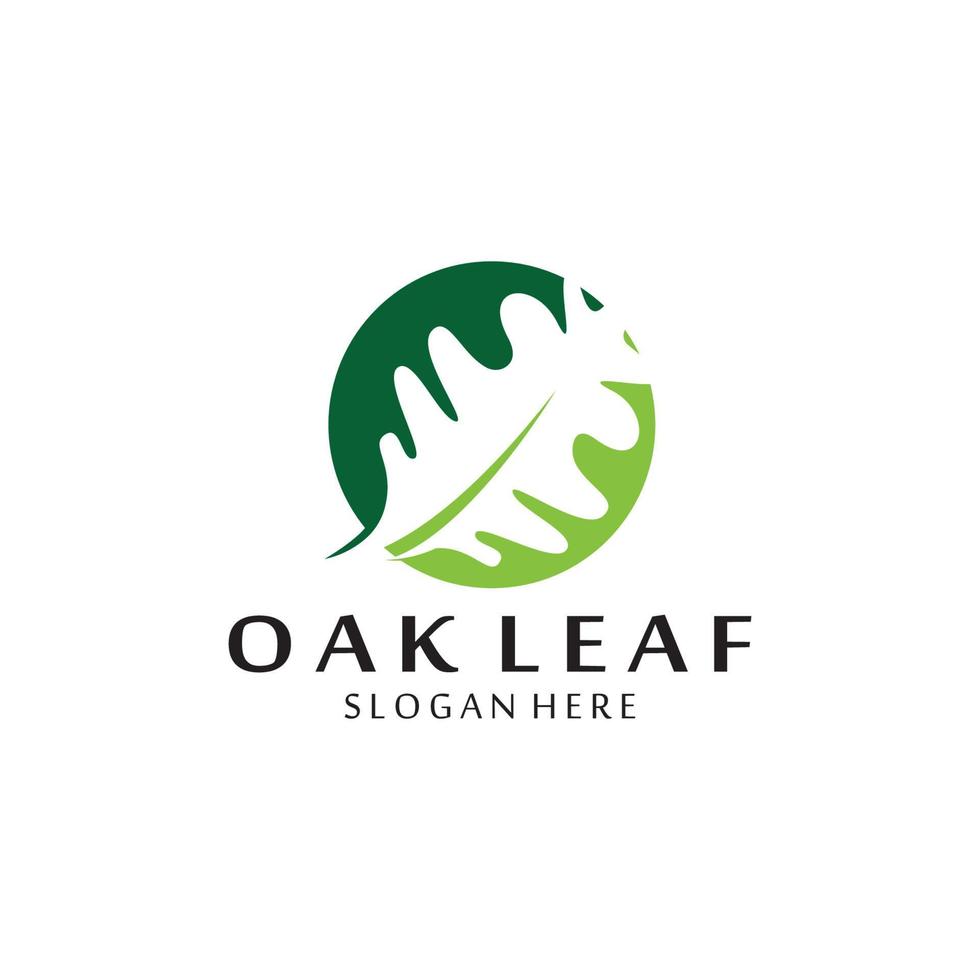 vector oak leaf logo design