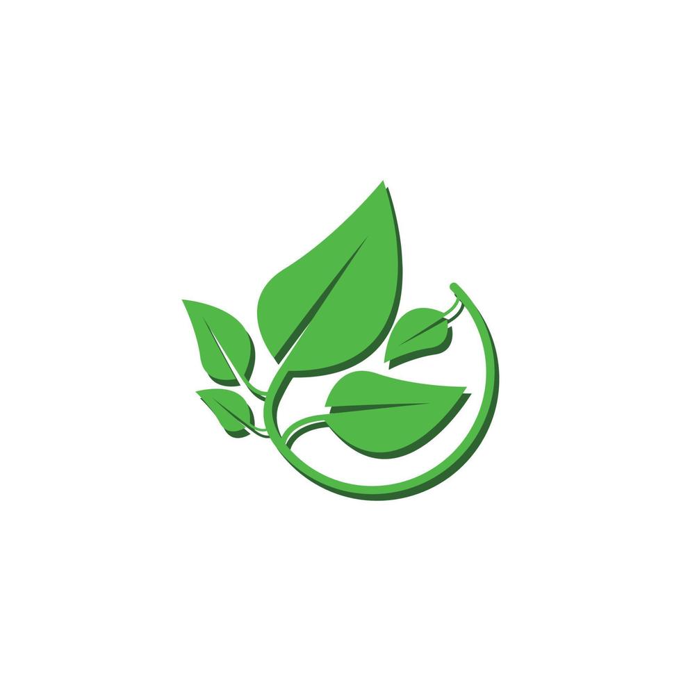 Natural green leaf logo. With an illustration logo design in a modern style. A logo for health and care. vector