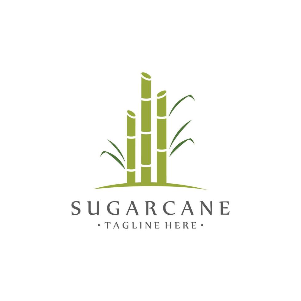 Natural Sweet Sugar Cane Plant Logo Template. vector