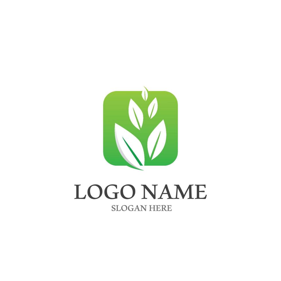 logotipos de vector de elemento de naturaleza de ecología de hoja de árbol verde