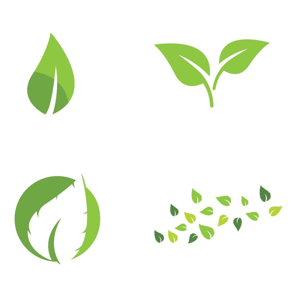 natural green leaf logo icon template vector