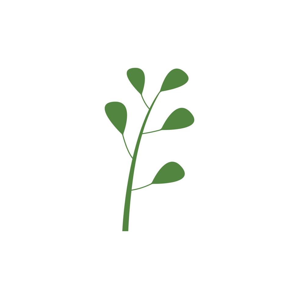 verde natural moringa hoja logo modelo aislado en blanco antecedentes. vector