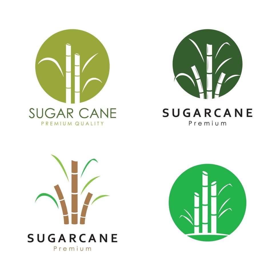 natural dulce azúcar caña planta logo modelo. vector