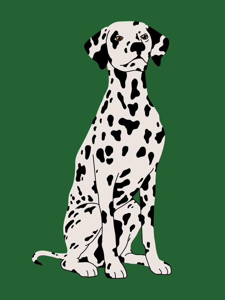 Dog breed Dalmatian vector flat illustration isolated on green background.