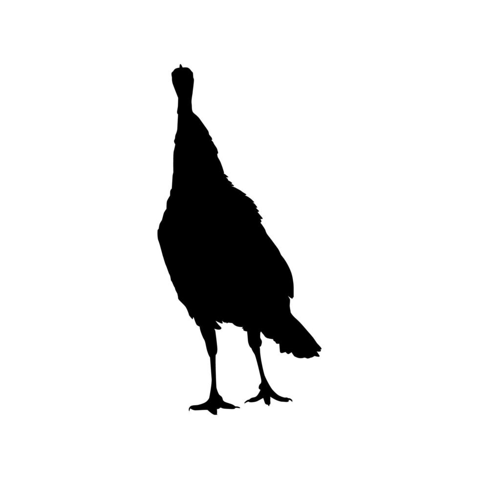 Turkey Silhouette for Art Illustration, Pictogram or Graphic Design Element. The Turkey is a large bird in the genus Meleagris. Vector Illustration