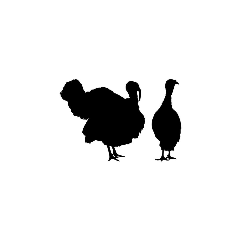 Pair of Turkey Silhouette for Art Illustration, Pictogram or Graphic Design Element. The Turkey is a large bird in the genus Meleagris. Vector Illustration