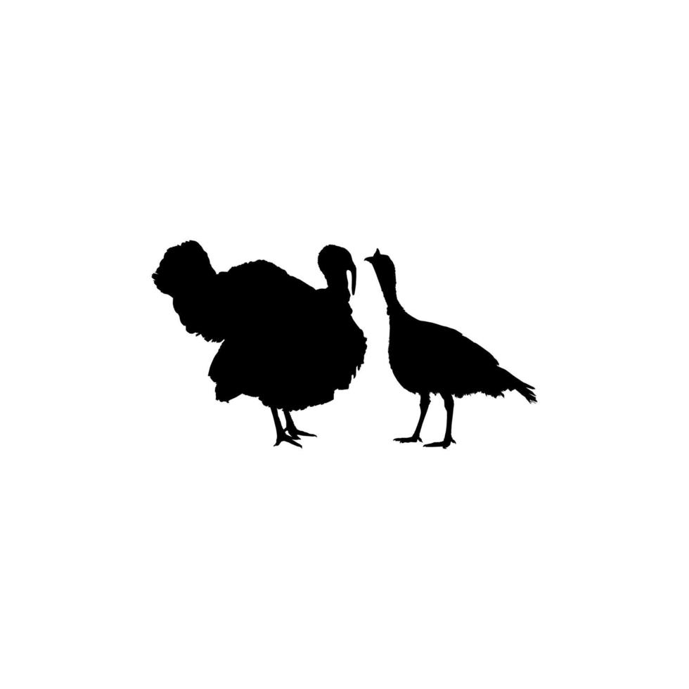 Pair of Turkey Silhouette for Art Illustration, Pictogram or Graphic Design Element. The Turkey is a large bird in the genus Meleagris. Vector Illustration